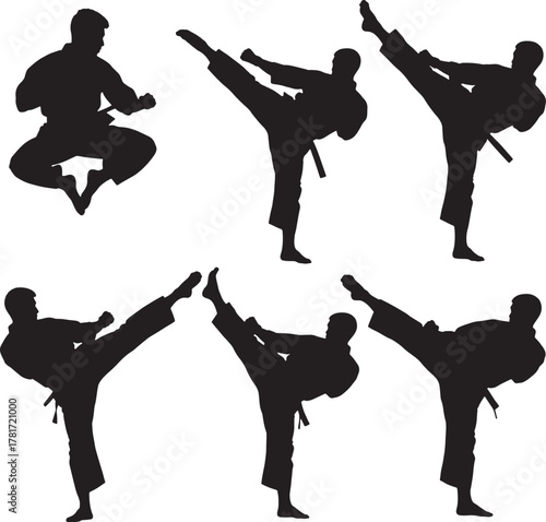 Karate silhouettes