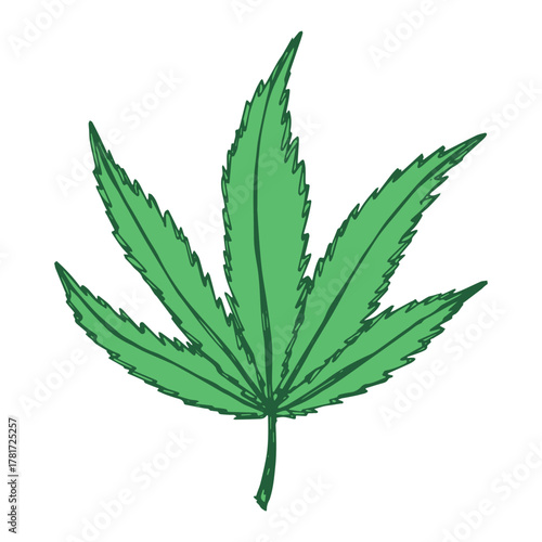 Hand drawn cannabis leaf Medicine marijuana Hemp leaves clipart in doodle style Single element for print, web, design, decor