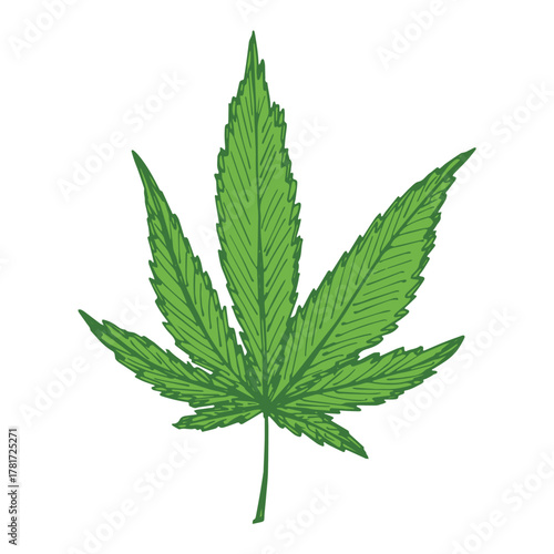Hand drawn cannabis leaf Medicine marijuana Hemp leaves clipart in doodle style Single element for print, web, design, decor