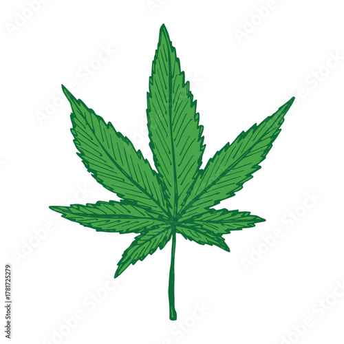 Hand drawn cannabis leaf Medicine marijuana Hemp leaves clipart in doodle style Single element for print, web, design, decor