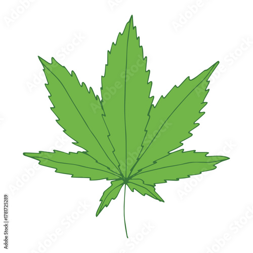 Hand drawn cannabis leaf Medicine marijuana Hemp leaves clipart in doodle style Single element for print, web, design, decor