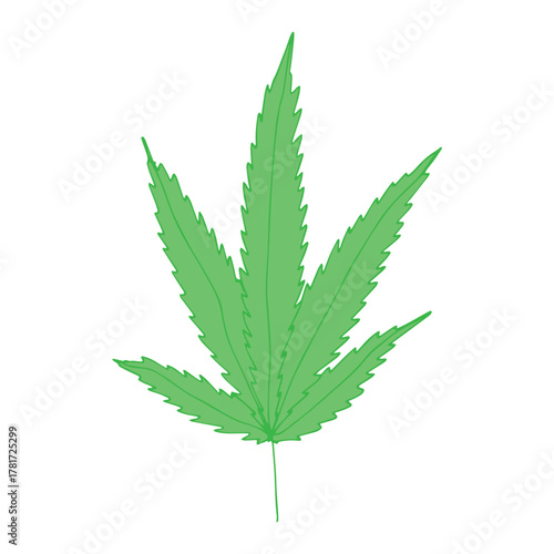 Hand drawn cannabis leaf Medicine marijuana Hemp leaves clipart in doodle style Single element for print, web, design, decor