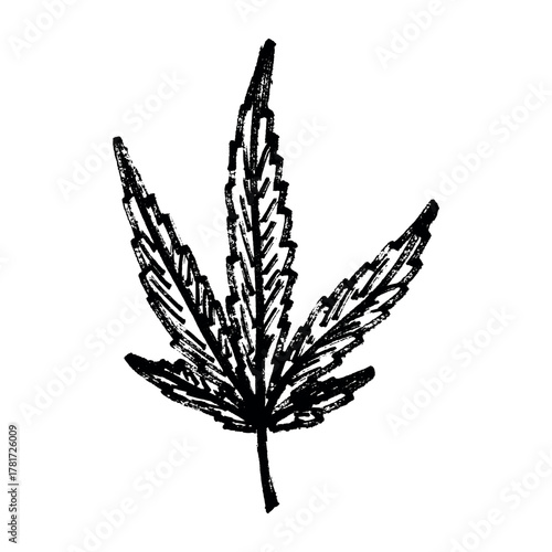 Hand drawn cannabis leaf Medicine marijuana Hemp leaves clipart in doodle style Single element for print, web, design, decor