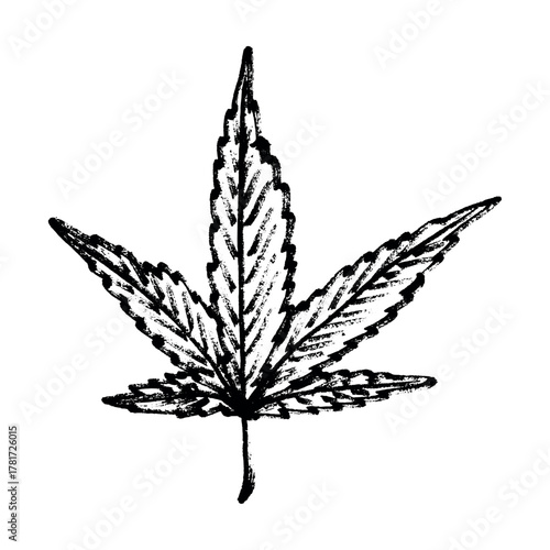 Hand drawn cannabis leaf Medicine marijuana Hemp leaves clipart in doodle style Single element for print, web, design, decor