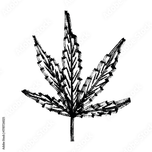 Hand drawn cannabis leaf Medicine marijuana Hemp leaves clipart in doodle style Single element for print, web, design, decor