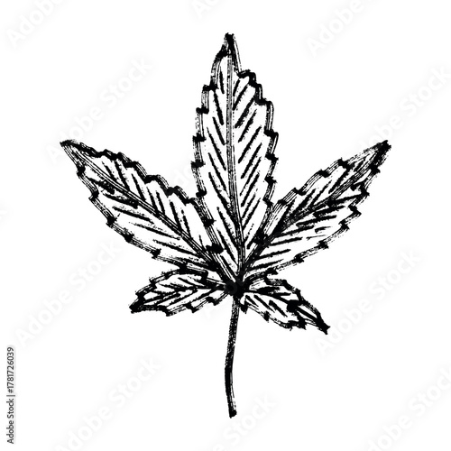 Hand drawn cannabis leaf Medicine marijuana Hemp leaves clipart in doodle style Single element for print, web, design, decor