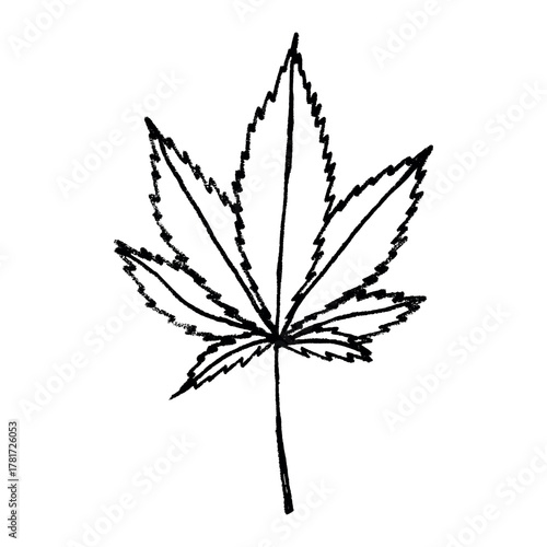 Hand drawn cannabis leaf Medicine marijuana Hemp leaves clipart in doodle style Single element for print, web, design, decor