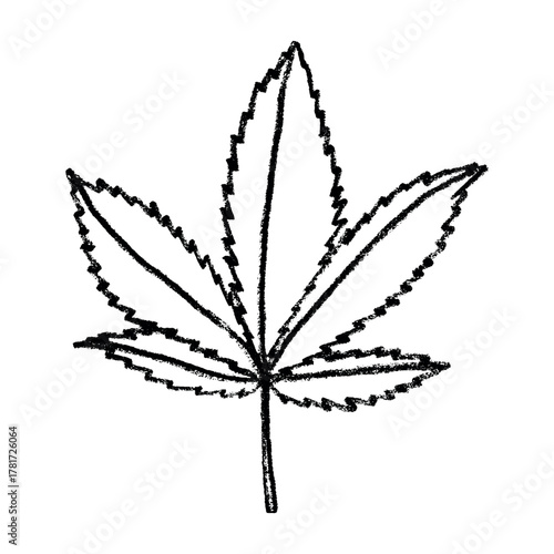 Hand drawn cannabis leaf Medicine marijuana Hemp leaves clipart in doodle style Single element for print, web, design, decor