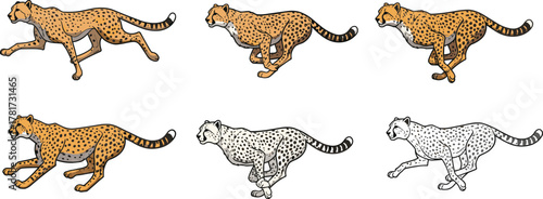 Fast running cheetah illustration, wild animal speed motion art, African predator drawing, wildlife nature design, powerful sprinting big cat artwork