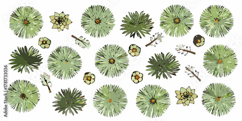 Collection of stylized green succulents and plants viewed from above on a white background