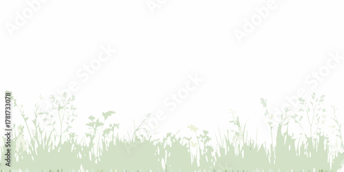 Tableau sur toile Softly blended green grass and wildflower silhouettes against a clean white back