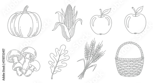 Autumn harvest sketch pumpkin corn apple more