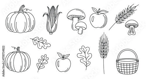 Autumn harvest clipart pumpkins corn apples more