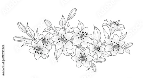 Elegant black and white line art illustration of a beautiful lily flower arrangement with buds and leaves, ideal for design elements.