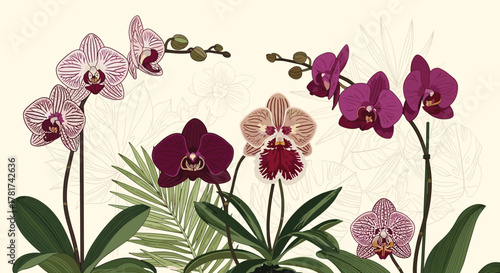 Elegant tropical orchids in various colors with green foliage and subtle botanical line art on a light background, perfect for decorative designs.