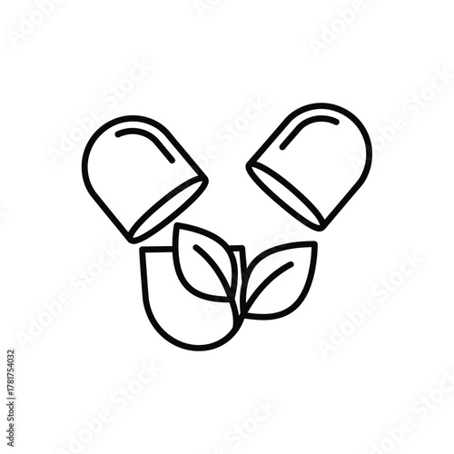 Herbal Supplement Capsule Icon | Natural Medicine Leaf Pill Vector Illustration