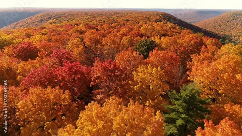 Top-down aerial view of a colorful forested plateau during vibrant autumn season foliage, scenic, earth