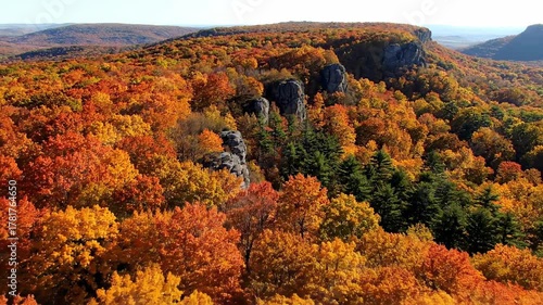 Top-down aerial view of a colorful forested plateau during vibrant autumn season vista, aerial, red