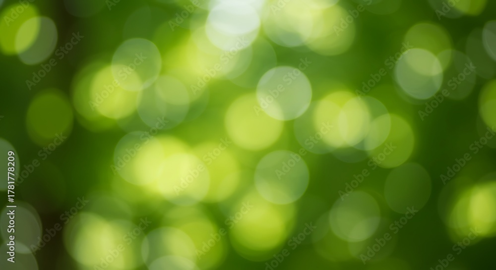 Fototapeta premium Blurred green foliage with bokeh light effects in a natural outdoor setting