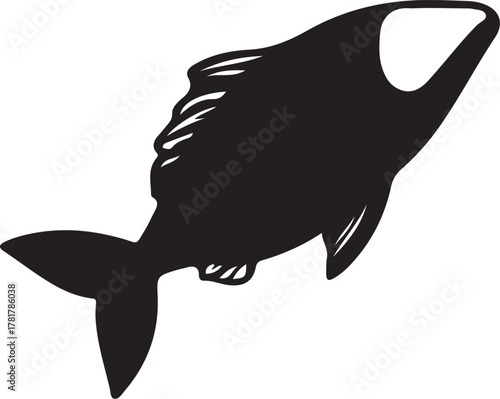 Silhouette of a Swimming Fish