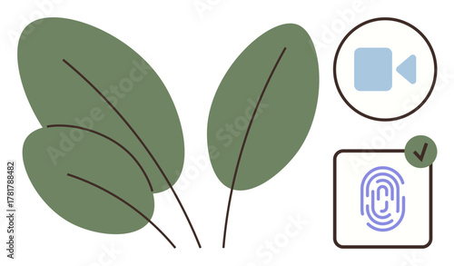 Green leaves, blue video camera, fingerprint with checkmark. Ideal for sustainability, eco-tech, security, identity, biometrics environmental innovation digital solutions. Simple flat metaphor