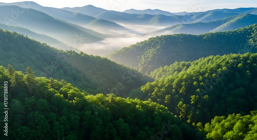 Sunlight streams through the misty valleys of the appalachian mountains