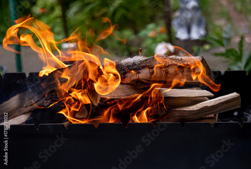 Flames on burning wood in close-up.