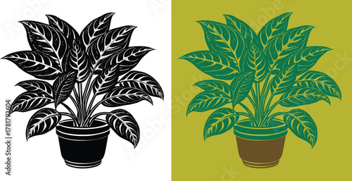 Striking potted plant in monochrome and color, a symbol of growth and natural beauty perfect for adding a touch of organic elegance to any design project