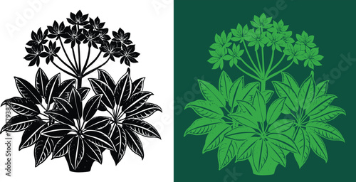 Charming botanical illustration of a schefflera plant in monochrome and vibrant green, perfect for adding a touch of nature to any design
