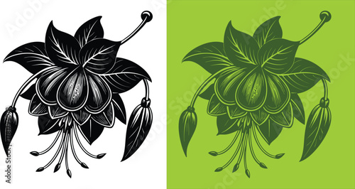 Elegant fuchsia flower design for modern botanical prints, invitations, or vibrant garden-themed decor with a stylish, natural touch for any creative project