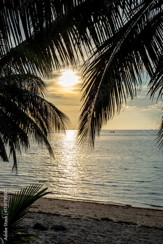 Fototapeta Naklejka Na Ścianę i Meble -  Beautiful exotic landscape of sunset on the beach with palm trees. Seashore in Thailand, Koh Phangan Island.