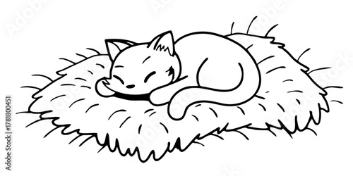 “Cute kitten sleeping on a soft blanket — adorable pet photography — background remove.”