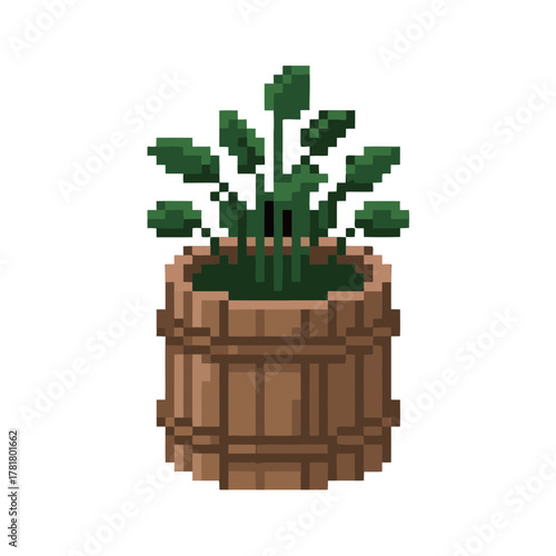 Indoor Potted Plant with Large Green Leaves in a Wooden Barrel Planter in 8-Bit Pixel Art Style, Home Decor or Environment Graphic Asset.