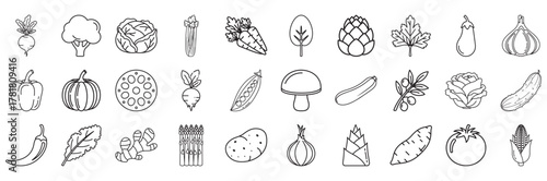 Collection of hand drawn vegetables isolated on white background, including beetroot, broccoli, cabbage, asparagus, carrot and spinach