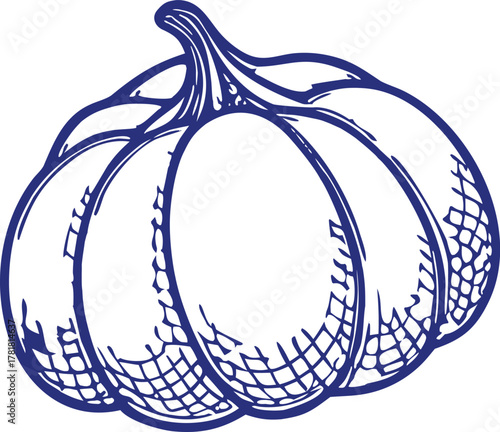 Charming vector illustration of a friendly pumpkin with a carved face perfect for autumn and halloween celebrations