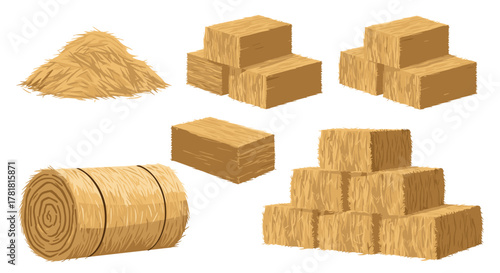 A detailed illustration of diverse hay forms, featuring loose piles, a round bale, and stacked rectangular bales, against a clean white backdrop.