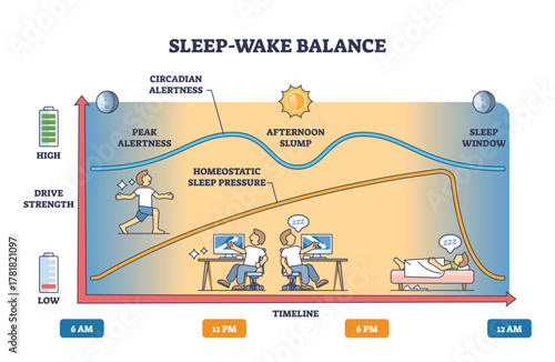 Sleep-Wake Balance brief shows circadian alertness vs sleep pressure across the day, timeline graph, sun-moon icons, and runner, worker, sleeper show peaks, slump, and sleep window. Outline diagram