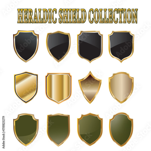 Diverse collection of classic heraldic shields with golden borders