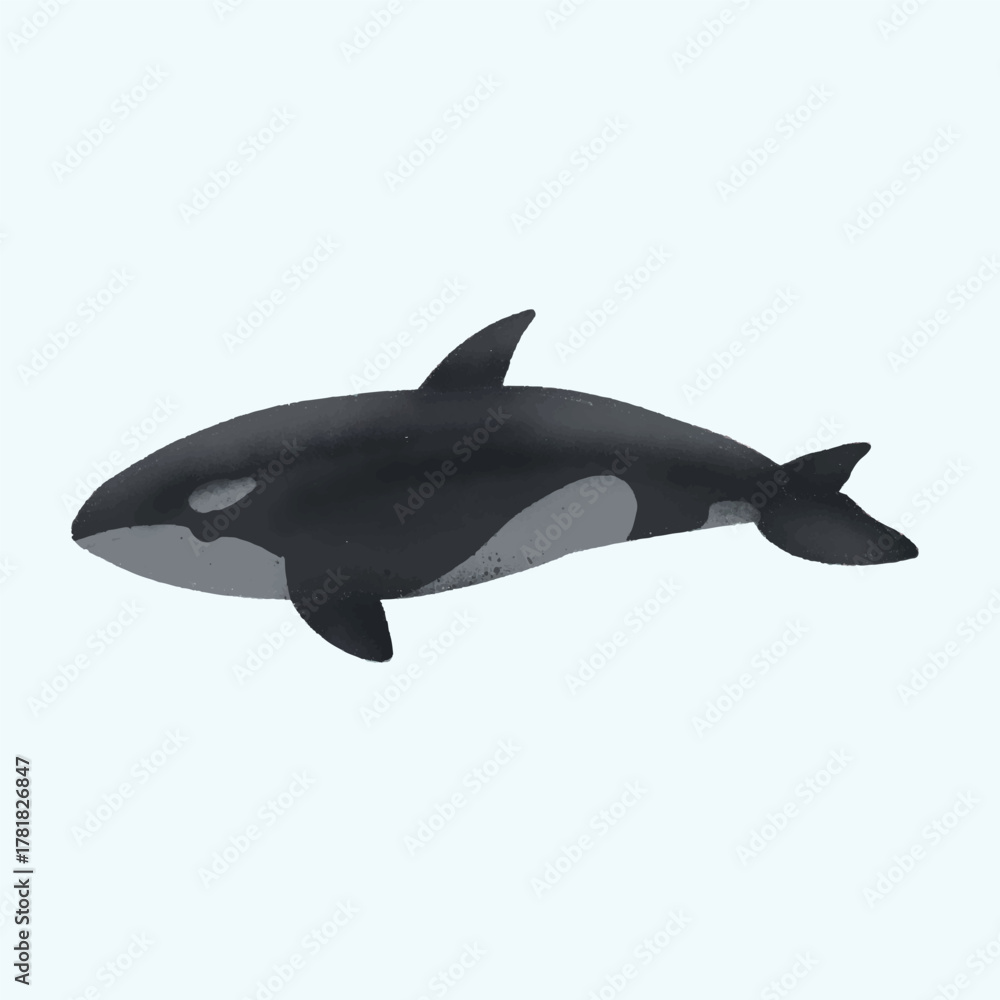 Obraz premium Animal Watercolor Illustration of an Orca Whale