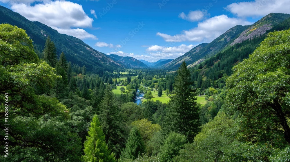Fototapeta premium Expansive Lush Green Valley Surrounded By Majestic Rocky Mountains Under A Clear Blue Sky With Fluffy White Clouds And Dense Evergreen Forest In The Foreground