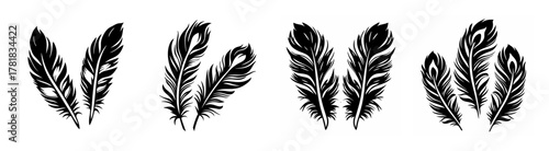 Artistic black and white peacock feathers arrangement abstract nature detail photography