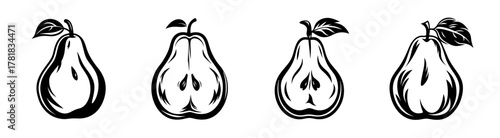 Sketchy line art style four pears collection a variety of fresh fruit halved and whole