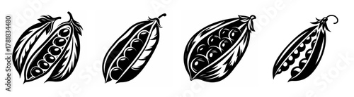 Four close-up monochrome sketches of opened pea pods revealing multiple spherical peas inside on a white backdrop