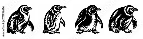 Four distinct black and white sketched penguins stand in a row showing subtle variations in posture and detail