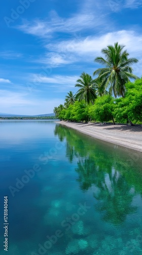 Turquoise Tropical Water Reflecting Lush Palm Trees and Green Foliage Along a Pebble Beach Under a Clear Blue Sky with Wispy Clouds