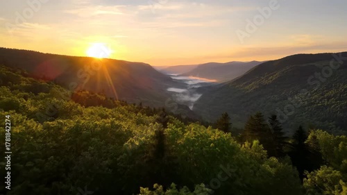 Aerial drone shot flying forward over a vibrant green forest at sunrise, revealing a majestic valley epic, conservation, grand