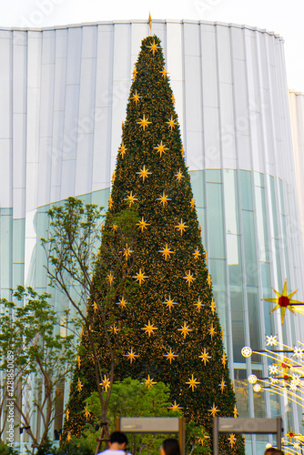 Giant decorated christmas tree outdoors, illuminated with golden stars and lights, set against a modern glass and white building facade
