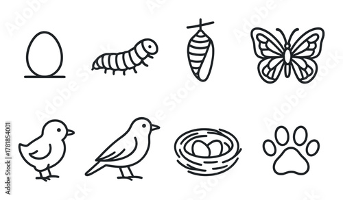 Insect and bird life cycle icons on dark background