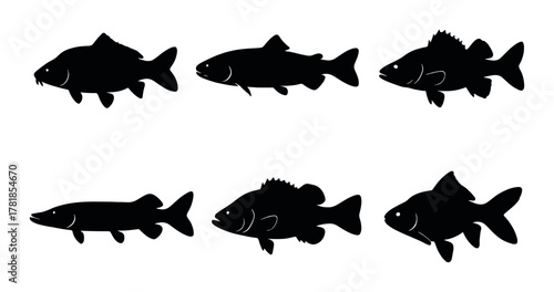 Silhouetted fish set on dark background: varied species in profile view