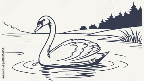 swan on the water